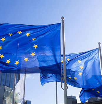 image 2026 02 25T081234.127